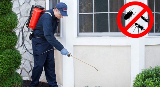 Konak Tahtakurusu İlaçlama böcek ilaçlama ve haşere kontrolü — ilaclama-tr.com
